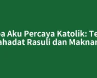 Doa Aku Percaya Katolik: Teks Syahadat Rasuli dan Maknanya